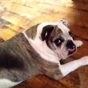 Meet your Posher, Jim